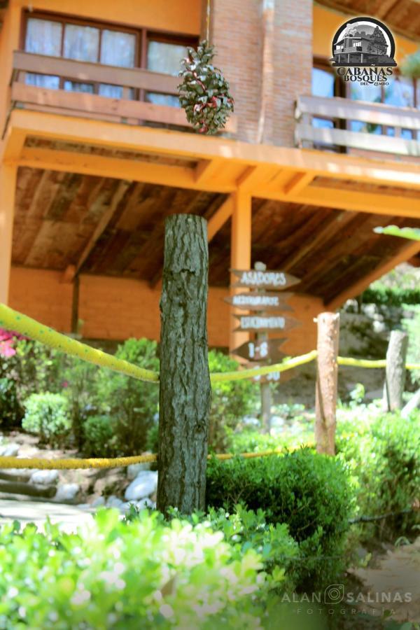 Cabanas Los Bosques Del Zembo Huasca de Ocampo Dış mekan fotoğraf