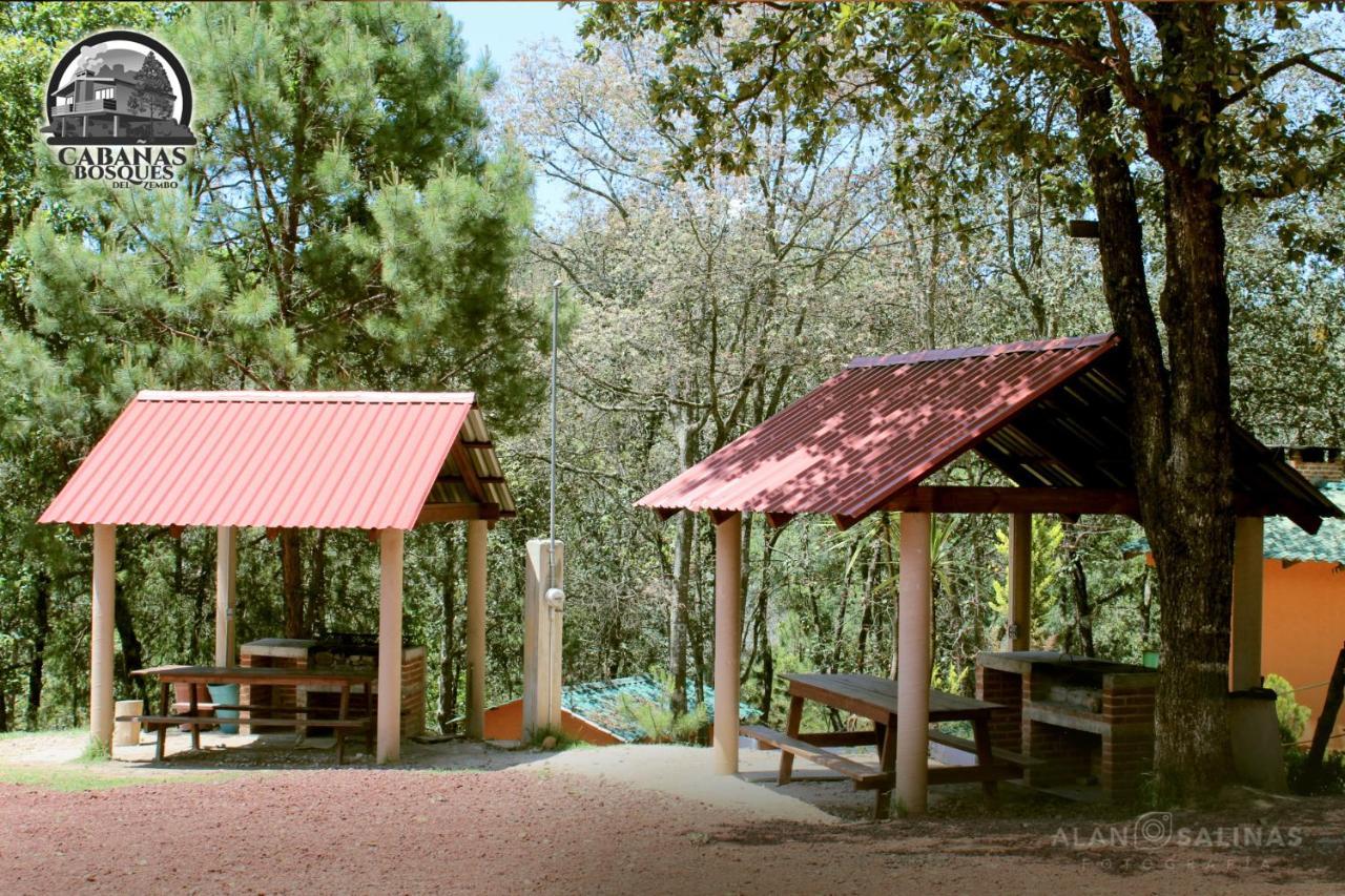 Cabanas Los Bosques Del Zembo Huasca de Ocampo Dış mekan fotoğraf