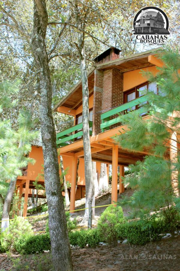 Cabanas Los Bosques Del Zembo Huasca de Ocampo Dış mekan fotoğraf