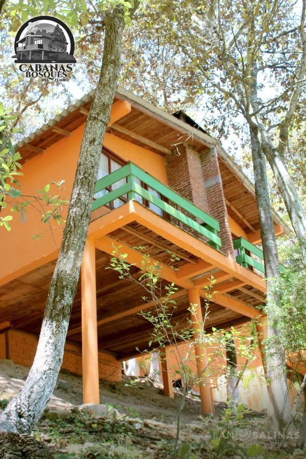 Cabanas Los Bosques Del Zembo Huasca de Ocampo Dış mekan fotoğraf