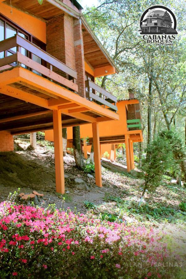 Cabanas Los Bosques Del Zembo Huasca de Ocampo Dış mekan fotoğraf
