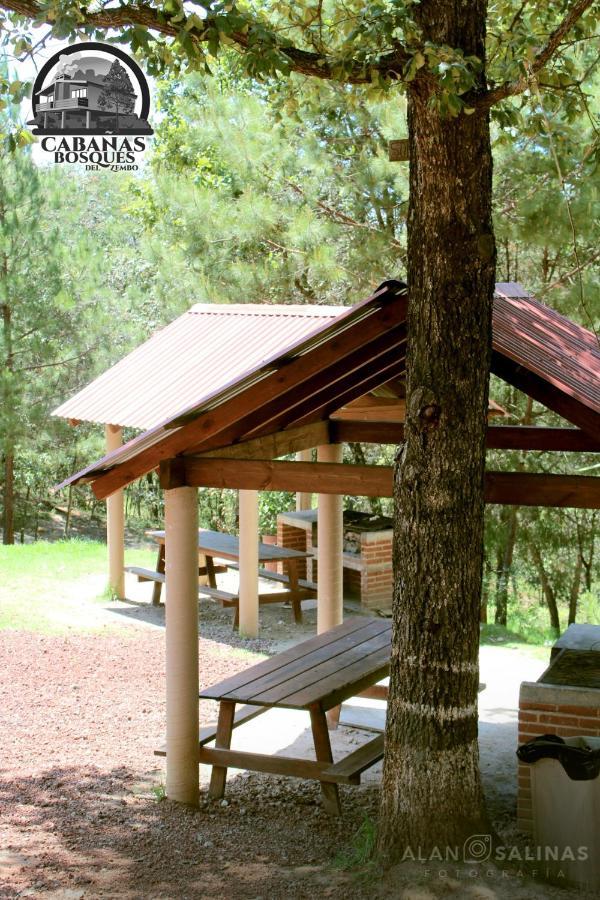 Cabanas Los Bosques Del Zembo Huasca de Ocampo Dış mekan fotoğraf