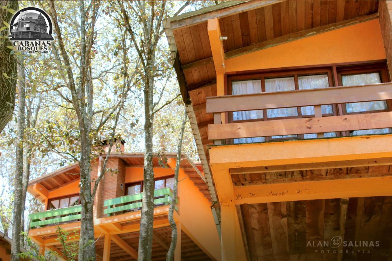 Cabanas Los Bosques Del Zembo Huasca de Ocampo Dış mekan fotoğraf