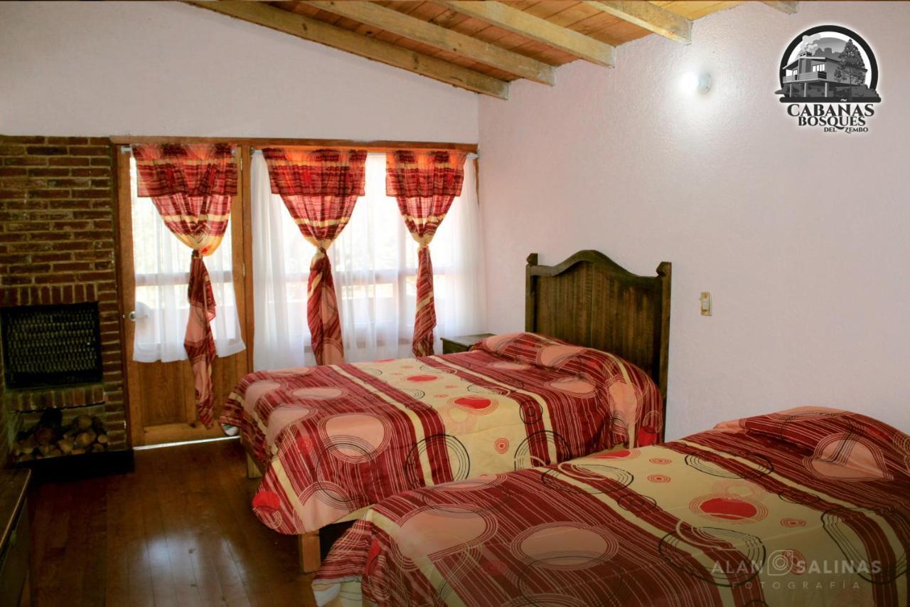 Cabanas Los Bosques Del Zembo Huasca de Ocampo Dış mekan fotoğraf
