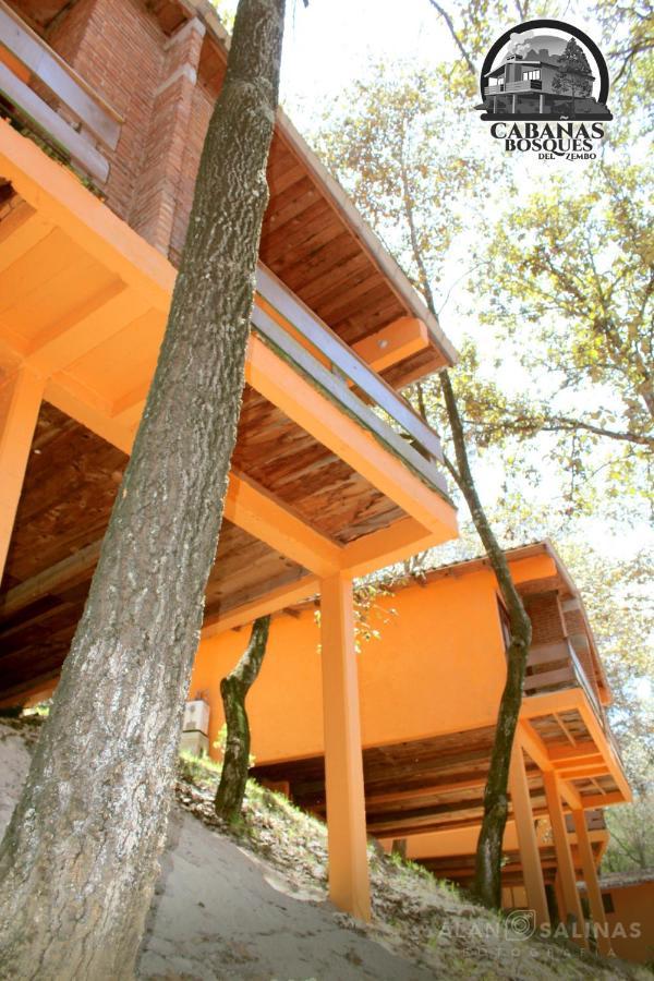 Cabanas Los Bosques Del Zembo Huasca de Ocampo Dış mekan fotoğraf