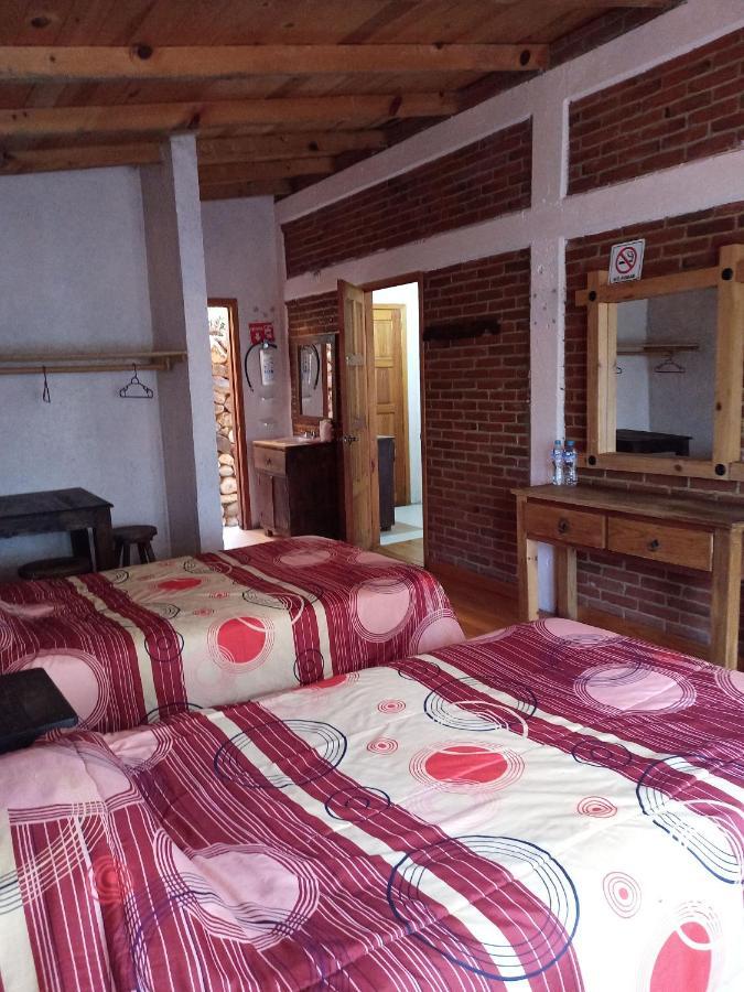 Cabanas Los Bosques Del Zembo Huasca de Ocampo Dış mekan fotoğraf