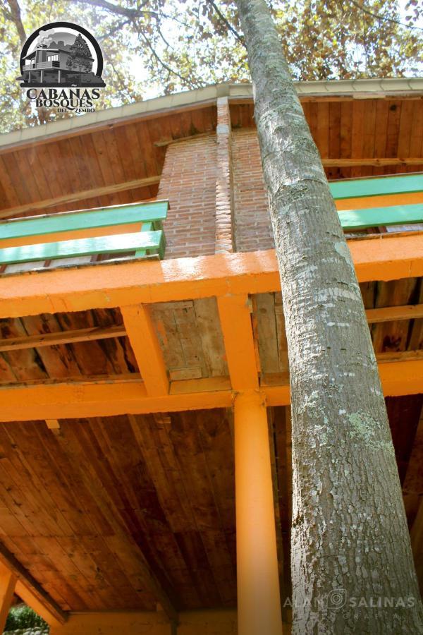 Cabanas Los Bosques Del Zembo Huasca de Ocampo Dış mekan fotoğraf
