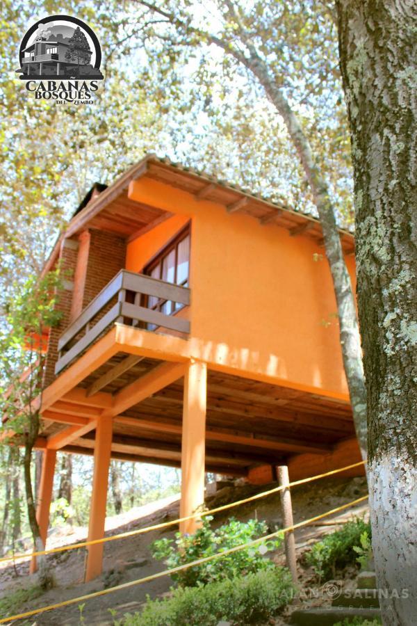 Cabanas Los Bosques Del Zembo Huasca de Ocampo Dış mekan fotoğraf