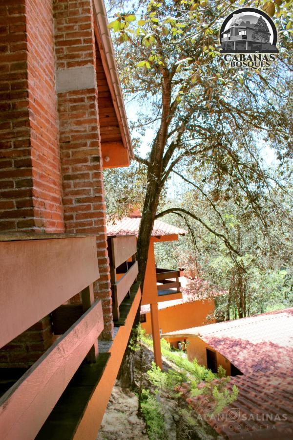 Cabanas Los Bosques Del Zembo Huasca de Ocampo Dış mekan fotoğraf