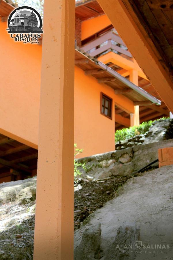Cabanas Los Bosques Del Zembo Huasca de Ocampo Dış mekan fotoğraf