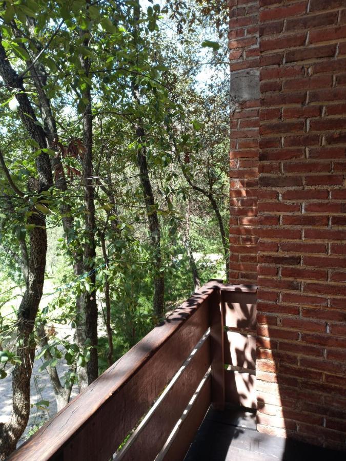 Cabanas Los Bosques Del Zembo Huasca de Ocampo Dış mekan fotoğraf